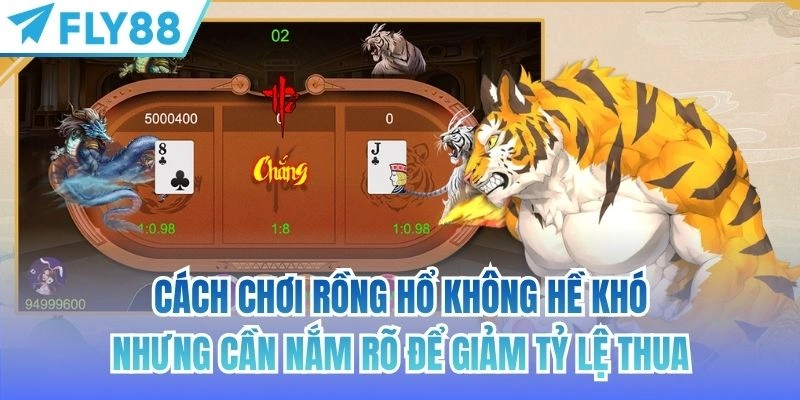Cách Chơi Rồng Hổ Chi Tiết | Mẹo Giúp Bạn Dễ Thắng 2 Cách chơi rồng hổ không hề khó nhưng cần nắm rõ để giảm tỷ lệ thua